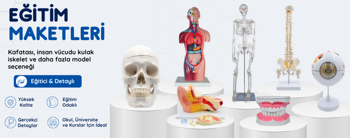 Eğitim Maketleri