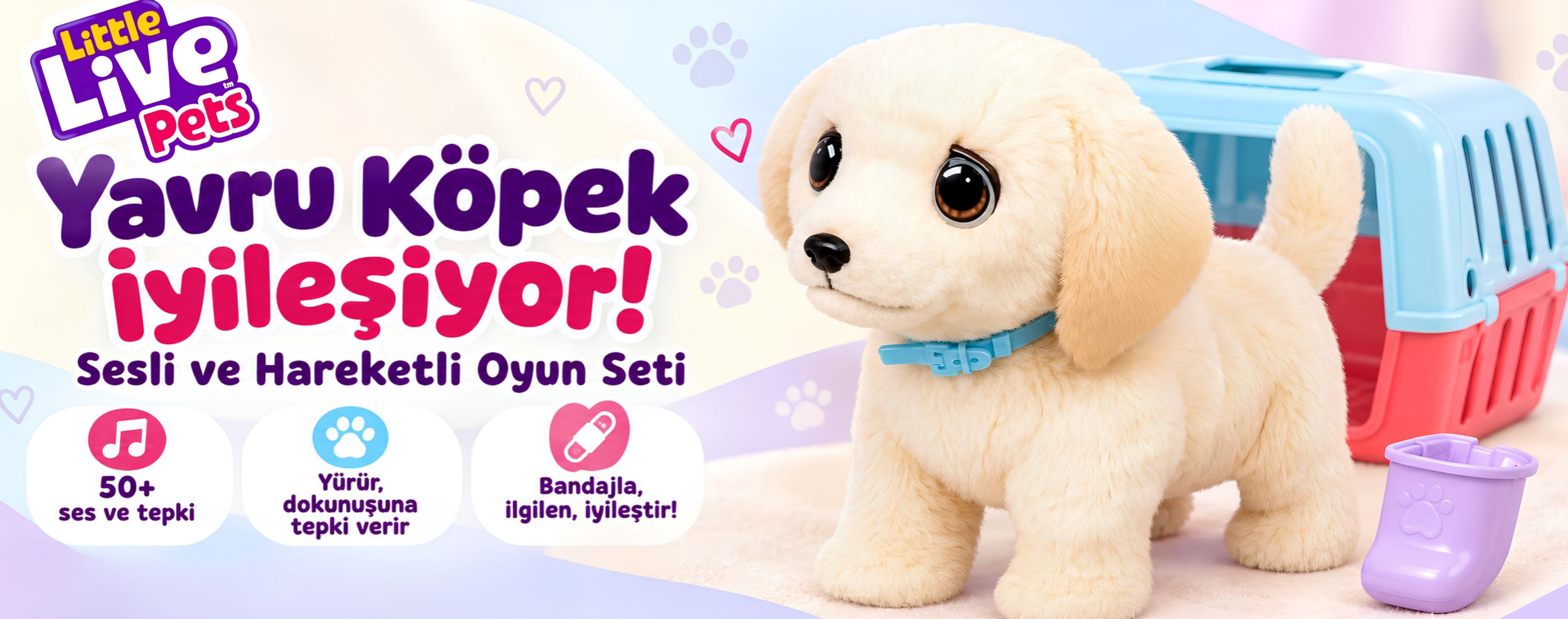 Yavru Köpek