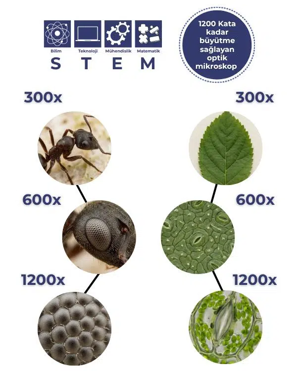 Temel Metal Gövdeli 1200X Mikroskop Seti 28 Parça Bilim Kiti 300X 600X 1200X Temel Metal Gövdeli 1200X Mikroskop Seti 28 Parça Bilim Kiti 300X 600X 1200X