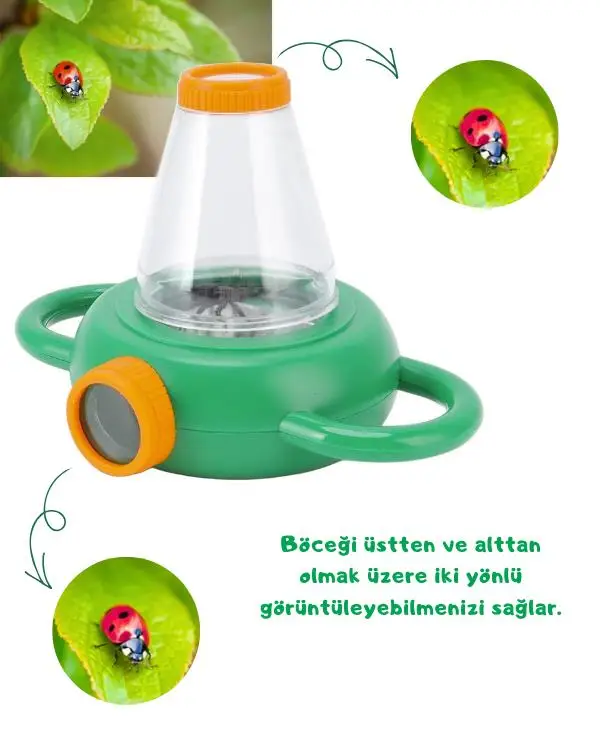 Temel Böcek Gözlem Kutusu Konik Temel Böcek Gözlem Kutusu Konik