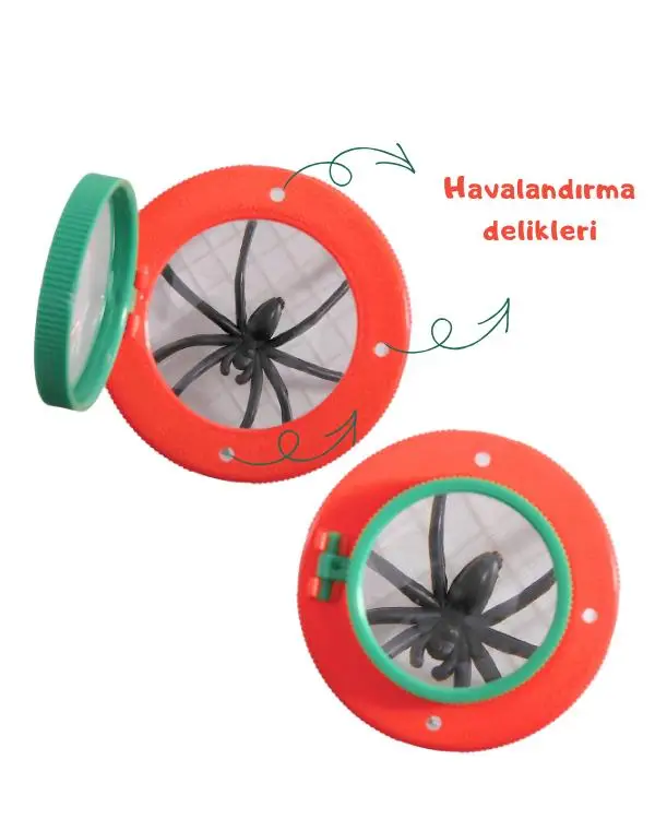 Temel Böcek İnceleme Kabı Temel Böcek İnceleme Kabı