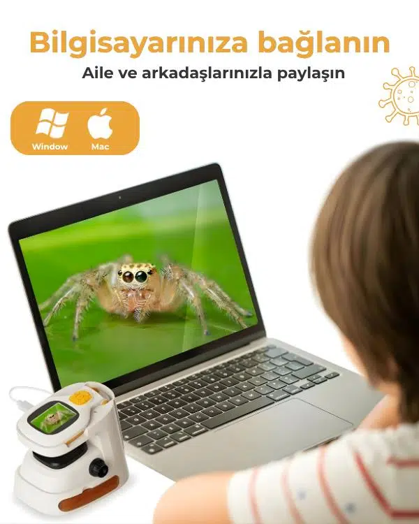 Temel 2si 1 Arada Dijital Mikroskop Seti 40X 1000X Yakınlaştırmalı, HD Ekranlı STEM Kiti Temel 2si 1 Arada Dijital Mikroskop Seti 40X 1000X Yakınlaştırmalı, HD Ekranlı STEM Kiti